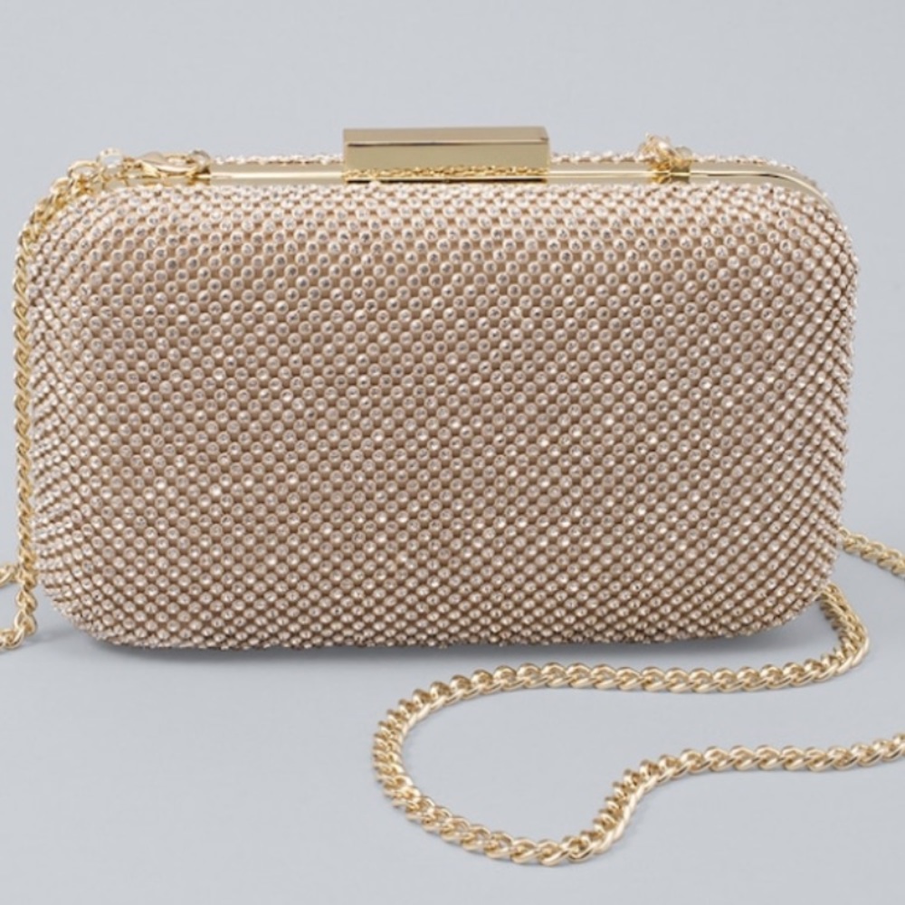 NWT metallic beaded clutch or satchel